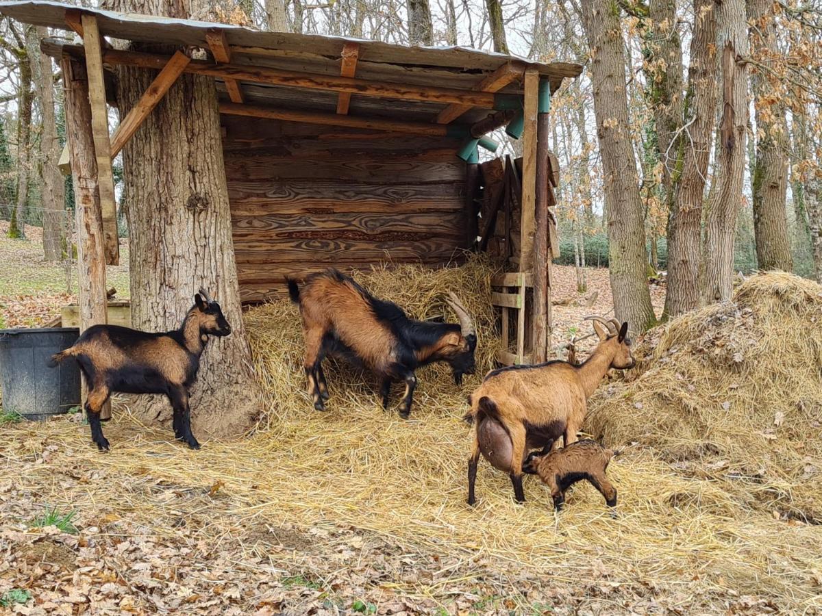 L Occitane Villa Gimont Bagian luar foto